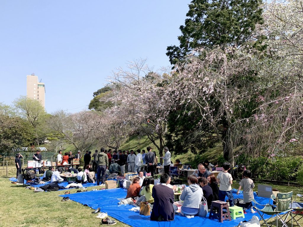 恒例お花見。の関連画像